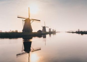 Praca w Holandii bez języka