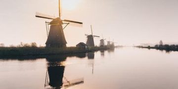 Praca w Holandii bez języka