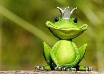 Kierownik ds. Ochrony Środowiska - specyfikacja zawodu, wymagania, zarobki