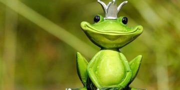 Kierownik ds. Ochrony Środowiska - specyfikacja zawodu, wymagania, zarobki