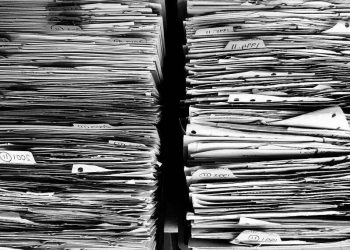 Referent - specyfikacja zawodu, wymagania, wynagrodzenie