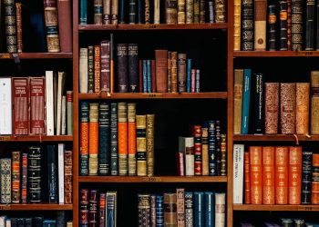 Archiwista - specyfikacja zawodu, obowiązki, zarobki