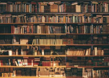 Jakie skończyć studia aby pracować na stanowisku bibliotekarz?