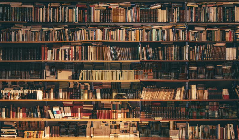 Jakie skończyć studia aby pracować na stanowisku bibliotekarz?