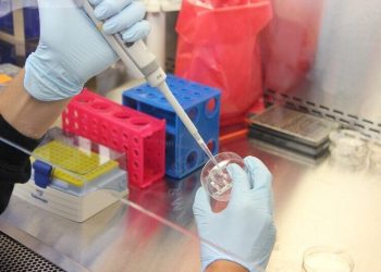 Biofizyk - specyfikacja zawodu, wymagania, wynagrodzenie