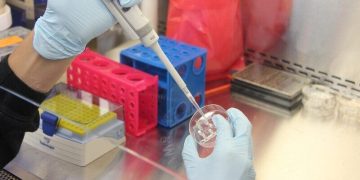 Biofizyk - specyfikacja zawodu, wymagania, wynagrodzenie