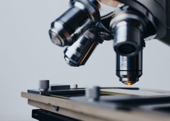 Biolog - specyfikacja zawodu, wymagania, wynagrodzenie