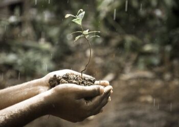Gleboznawca - specyfikacja zawodu, wymagania, wynagrodzenie