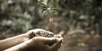Gleboznawca - specyfikacja zawodu, wymagania, wynagrodzenie