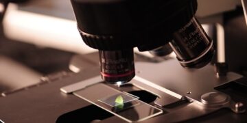 Kierownik Główny Projektant - specyfikacja zawodu, wymagania, zarobki