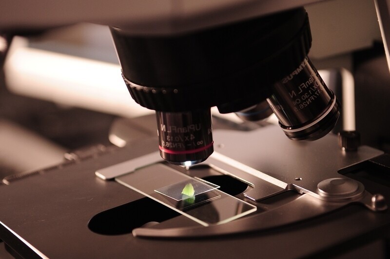 Kierownik Główny Projektant  - specyfikacja zawodu, wymagania, zarobki