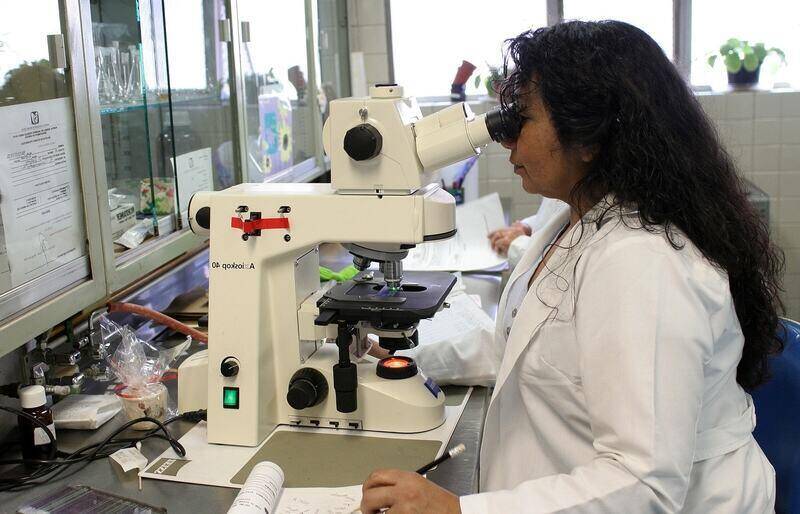 Kierownik Laboratorium Badawczego - specyfikacja zawodu, wymagania, zarobki