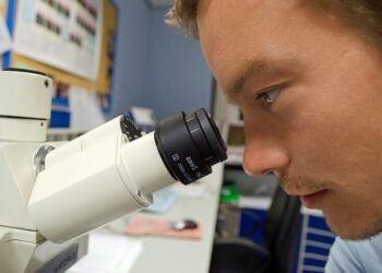 Kierownik ds. Badań i Rozwoju - specyfikacja zawodu, wymagania, zarobki