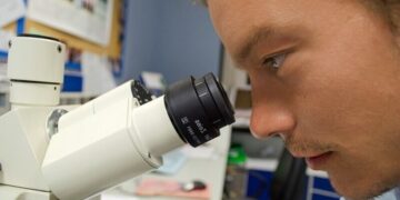 Kierownik ds. Badań i Rozwoju - specyfikacja zawodu, wymagania, zarobki