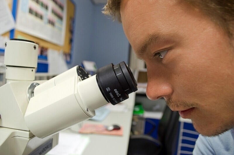 Kierownik ds. Badań i Rozwoju - specyfikacja zawodu, wymagania, zarobki 