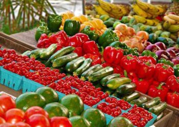 Specjalista ds. Badań Rynku - specyfikacja zawodu, wymagania, zarobki