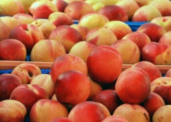 Kierownik Operacyjny - specyfikacja zawodu, wymagania, wynagrodzenie