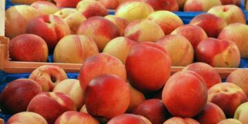 Kierownik Operacyjny - specyfikacja zawodu, wymagania, wynagrodzenie