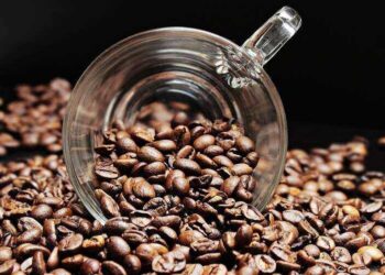 Barista - specyfikacja zawodu, wymagania, wynagrodzenie