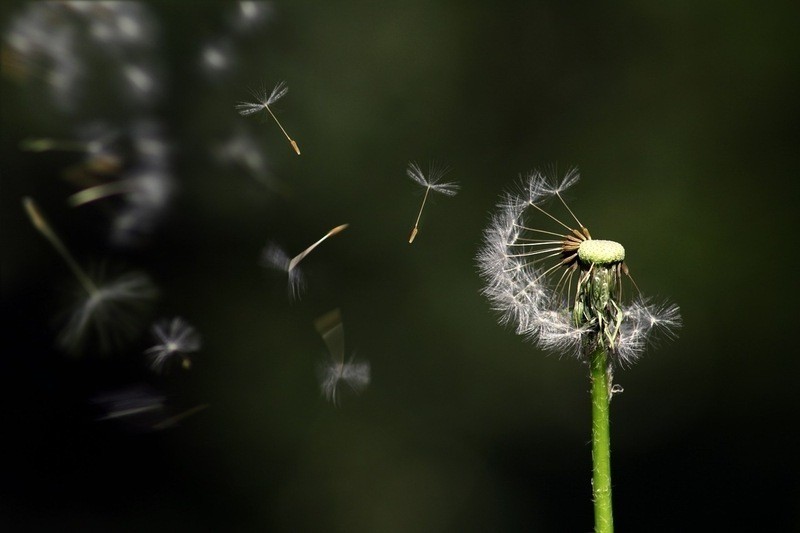 Jakie szanse rozwoju zawodowego daje zawód Bioinżyniera Genetycznego?