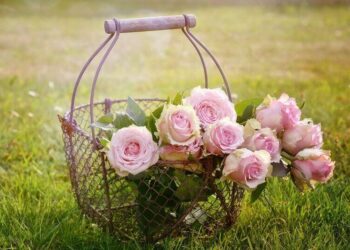 Florysta - specyfikacja zawodu, wymagania, wynagrodzenie