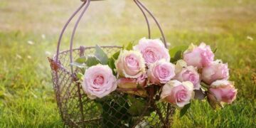 Florysta - specyfikacja zawodu, wymagania, wynagrodzenie