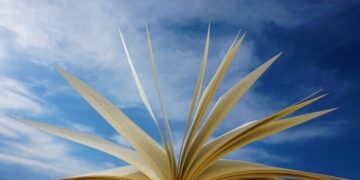 Kierownik ds. Wydawniczych - specyfikacja zawodu, wymagania, wynagrodzenie