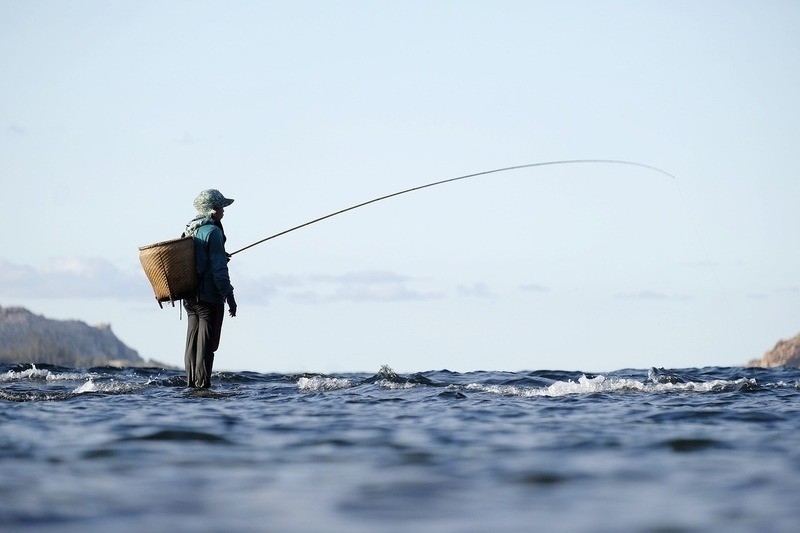 Jakie szanse rozwoju zawodowego daje zawód Pracownika Przetwórstwa Rybnego?