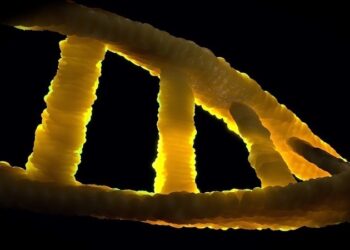 Przedstawiciel Medyczny - specyfikacja zawodu, wymagania, wynagrodzenie