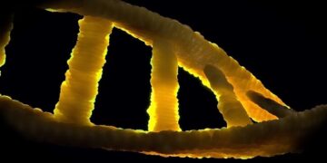 Przedstawiciel Medyczny - specyfikacja zawodu, wymagania, wynagrodzenie