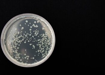 Przedstawiciel Naukowy - specyfikacja zawodu, wymagania, wynagrodzenie