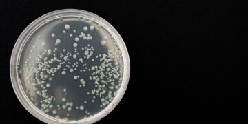 Przedstawiciel Naukowy - specyfikacja zawodu, wymagania, wynagrodzenie