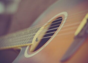 Lutnik - specyfikacja zawodu, wymagania, wynagrodzenie