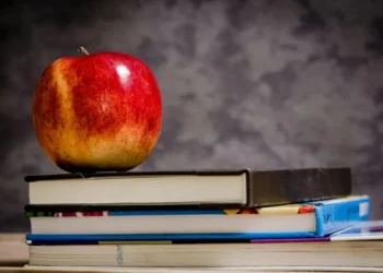 Praca nauczyciela to jeden z najbardziej potrzebnych, a jednak niedocenianych profesji. Fot. Pixabay / pexels.com