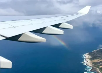 Sprawdź, jak zostać stewardessą i na jakie wynagrodzenie możesz liczyć. Fot. Jess Bailey Designs / pexels.com