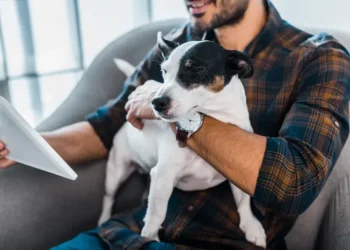 Petsitter – kto to jest, czym się zajmuje i jak wybrać najlepszego opiekuna dla swojego pupila